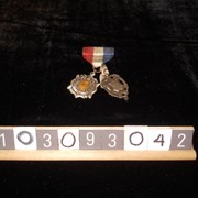 Cover image of Service Medal